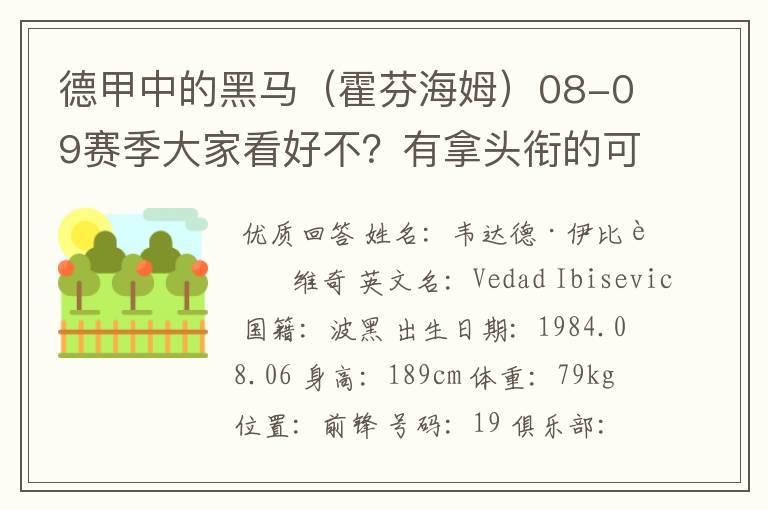 德甲中的黑马（霍芬海姆）08-09赛季大家看好不？有拿头衔的可能吗？