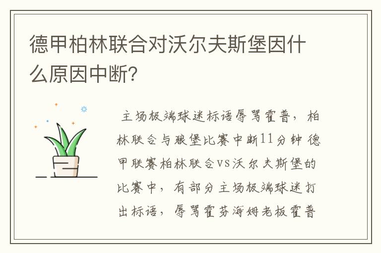 德甲柏林联合对沃尔夫斯堡因什么原因中断？