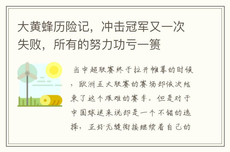 大黄蜂历险记，冲击冠军又一次失败，所有的努力功亏一篑