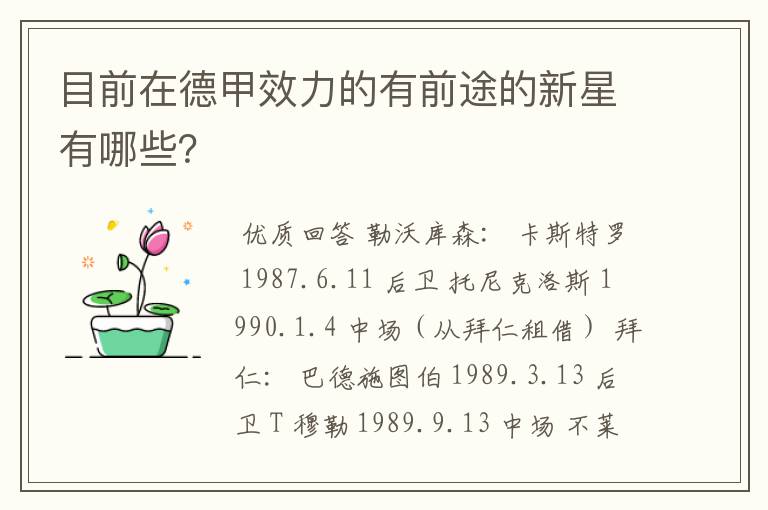 目前在德甲效力的有前途的新星有哪些？