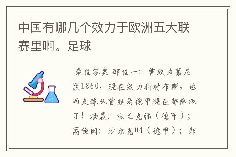 中国有哪几个效力于欧洲五大联赛里啊。足球