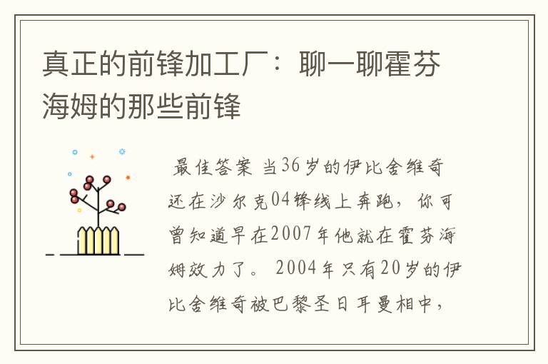 真正的前锋加工厂：聊一聊霍芬海姆的那些前锋