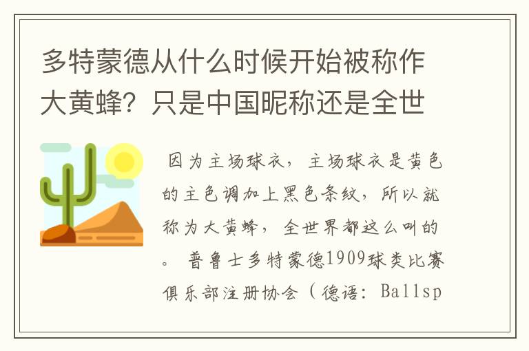 多特蒙德从什么时候开始被称作大黄蜂？只是中国昵称还是全世界范围都这么称呼