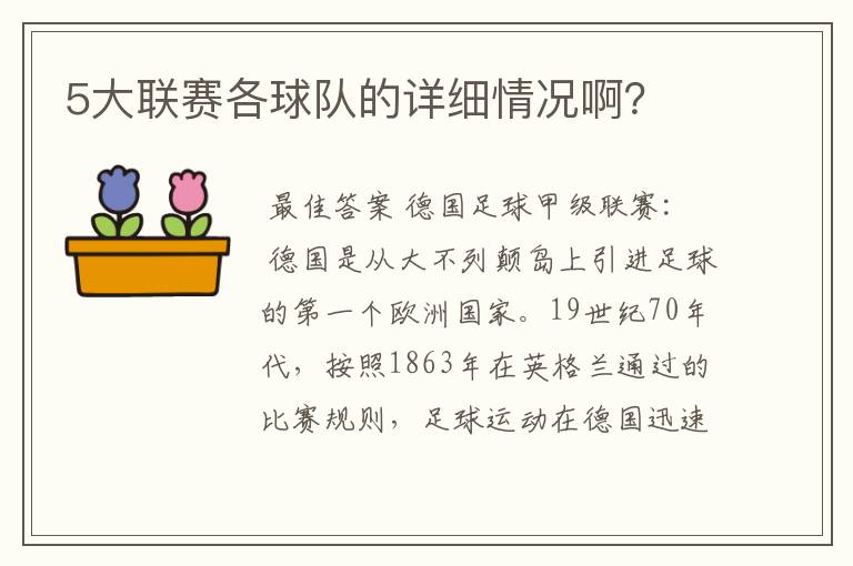 5大联赛各球队的详细情况啊？