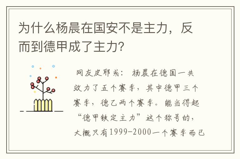 为什么杨晨在国安不是主力，反而到德甲成了主力？