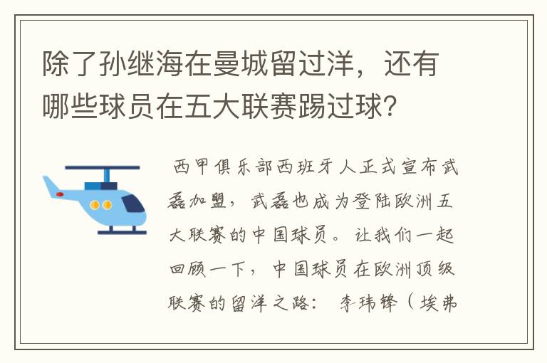 除了孙继海在曼城留过洋，还有哪些球员在五大联赛踢过球？