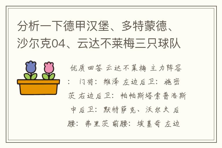 分析一下德甲汉堡、多特蒙德、沙尔克04、云达不莱梅三只球队的人员打法和阵型