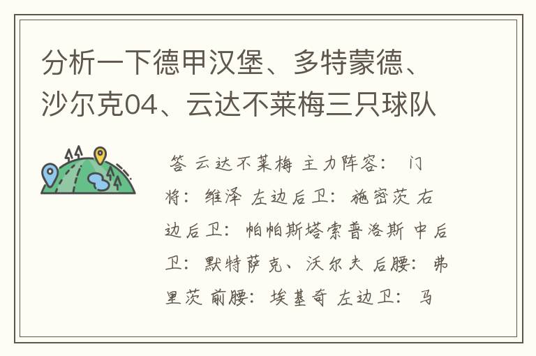 分析一下德甲汉堡、多特蒙德、沙尔克04、云达不莱梅三只球队的人员打法和阵型