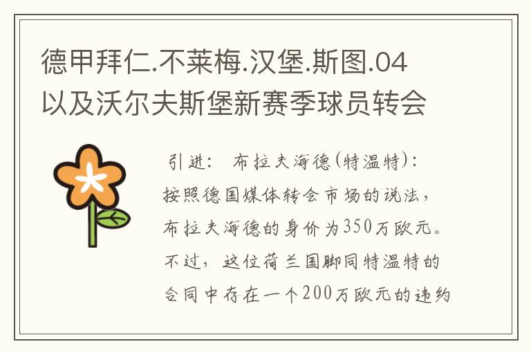 德甲拜仁.不莱梅.汉堡.斯图.04以及沃尔夫斯堡新赛季球员转会一览