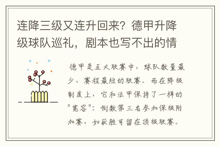 连降三级又连升回来？德甲升降级球队巡礼，剧本也写不出的情节