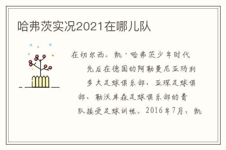 哈弗茨实况2021在哪儿队