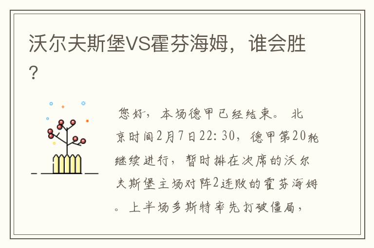 沃尔夫斯堡VS霍芬海姆，谁会胜?