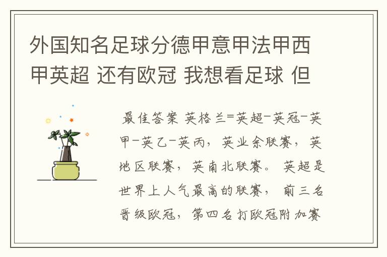 外国知名足球分德甲意甲法甲西甲英超 还有欧冠 我想看足球 但不知道怎么分辨他们怎么进行比赛的