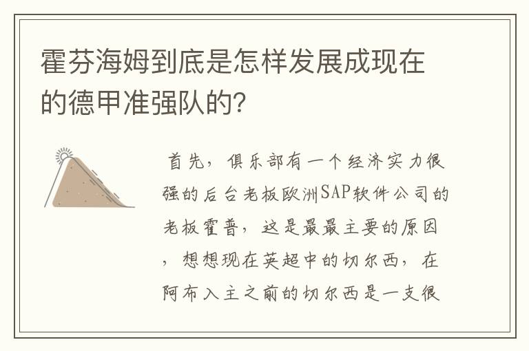 霍芬海姆到底是怎样发展成现在的德甲准强队的？