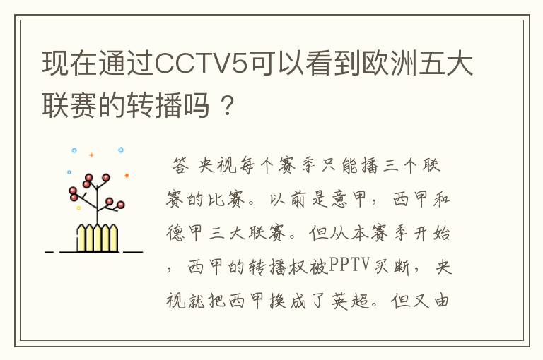 现在通过CCTV5可以看到欧洲五大联赛的转播吗 ?