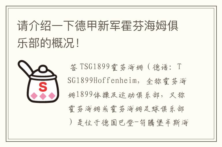 请介绍一下德甲新军霍芬海姆俱乐部的概况！