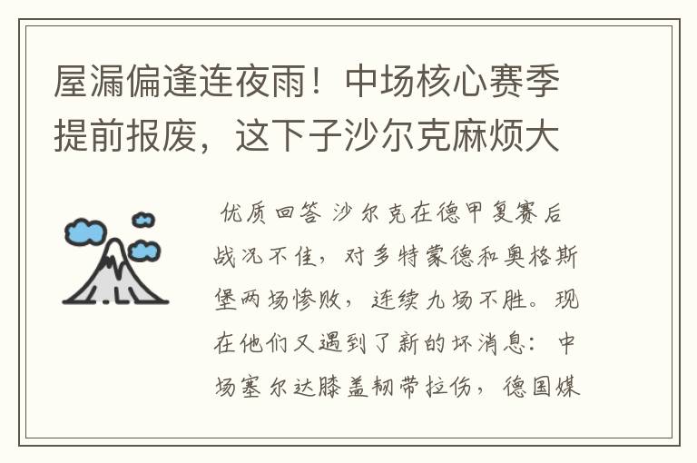 屋漏偏逢连夜雨！中场核心赛季提前报废，这下子沙尔克麻烦大了