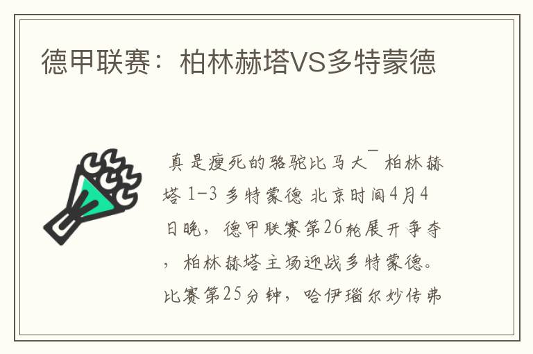 德甲联赛：柏林赫塔VS多特蒙德