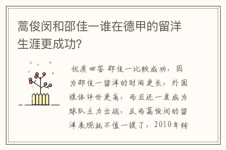 蒿俊闵和邵佳一谁在德甲的留洋生涯更成功？