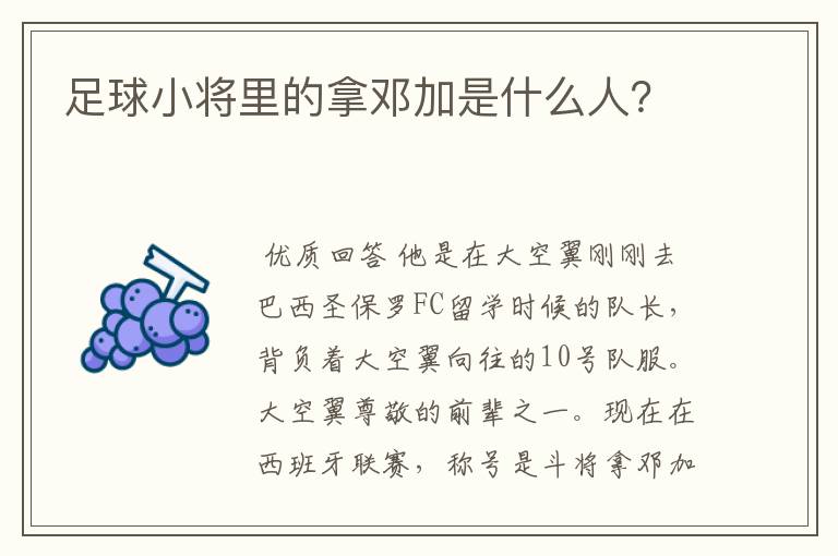 足球小将里的拿邓加是什么人？