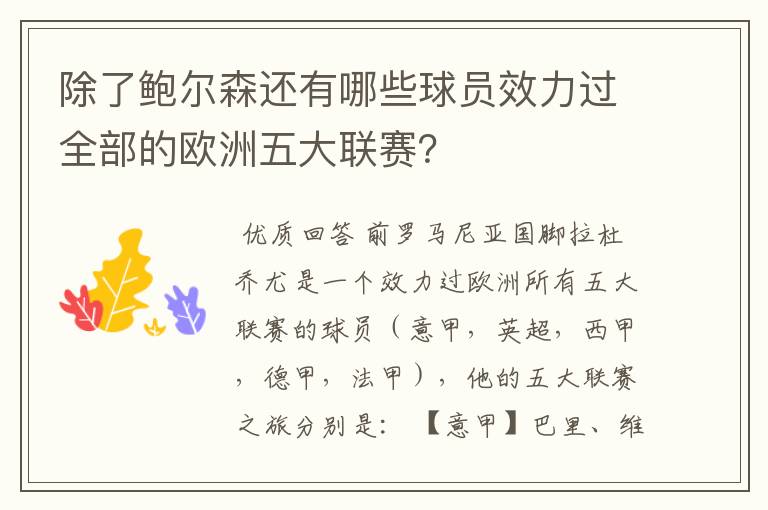 除了鲍尔森还有哪些球员效力过全部的欧洲五大联赛？