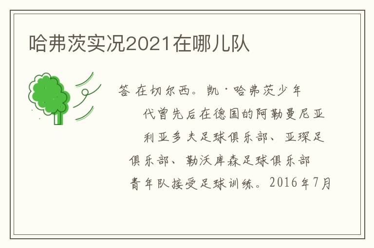 哈弗茨实况2021在哪儿队