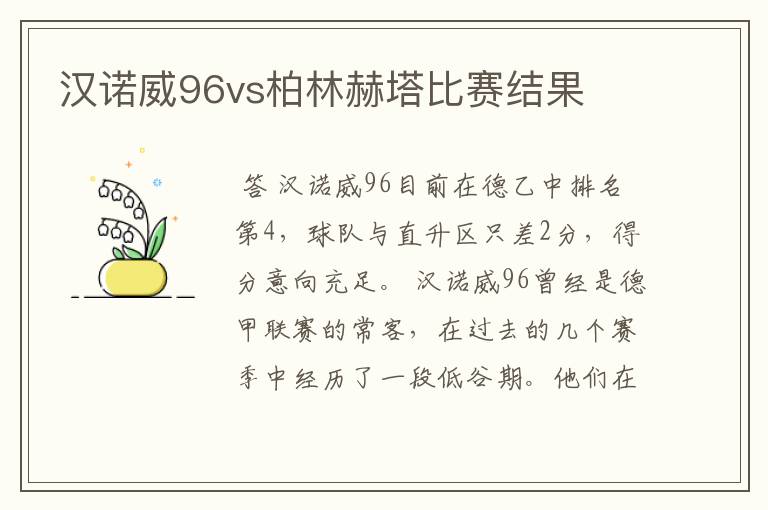 汉诺威96vs柏林赫塔比赛结果