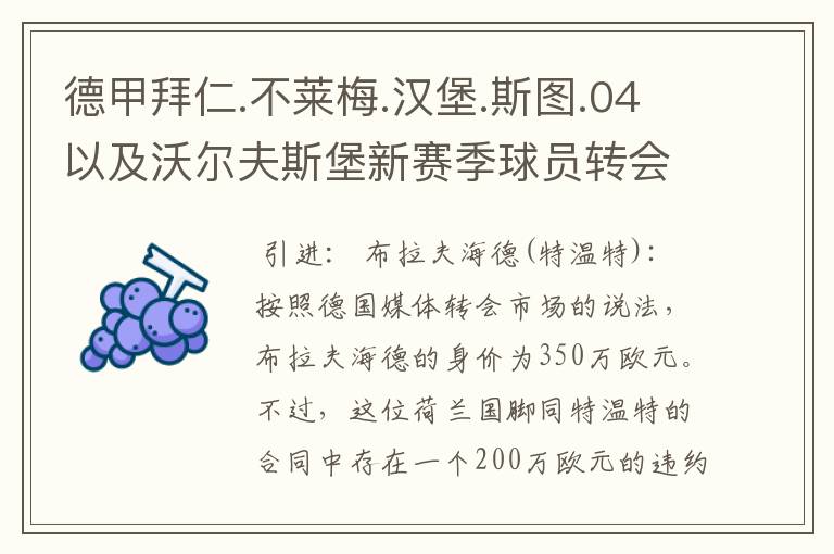 德甲拜仁.不莱梅.汉堡.斯图.04以及沃尔夫斯堡新赛季球员转会一览