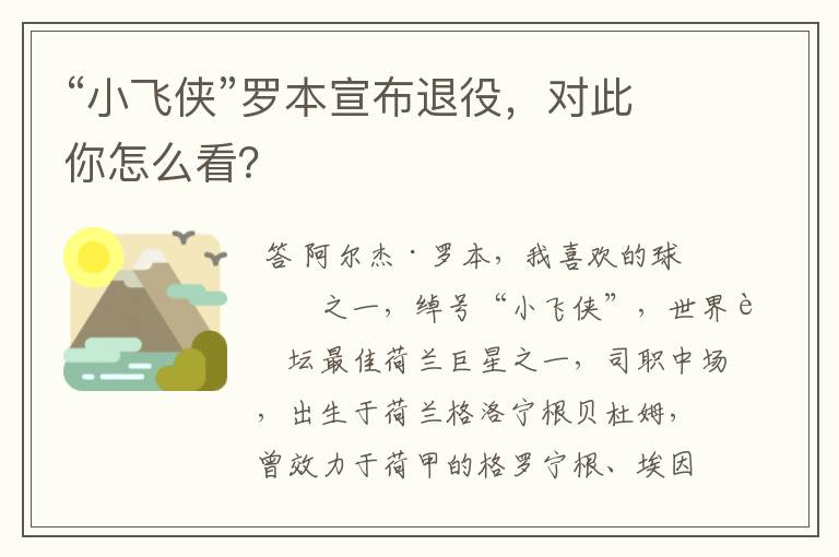 “小飞侠”罗本宣布退役，对此你怎么看？