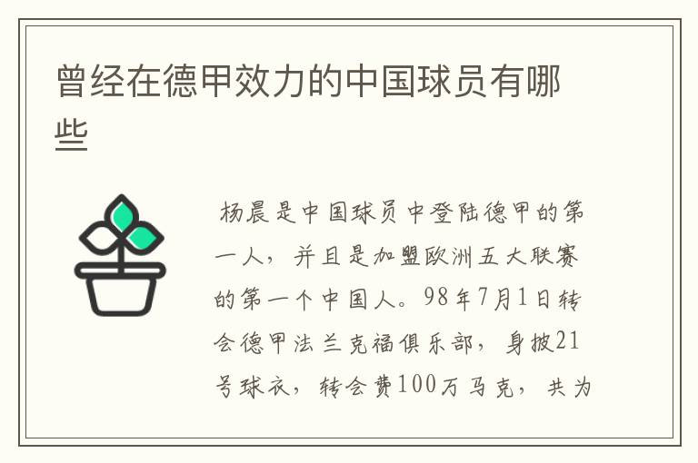 曾经在德甲效力的中国球员有哪些