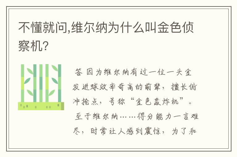 不懂就问,维尔纳为什么叫金色侦察机？