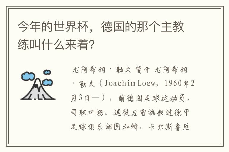 今年的世界杯，德国的那个主教练叫什么来着？