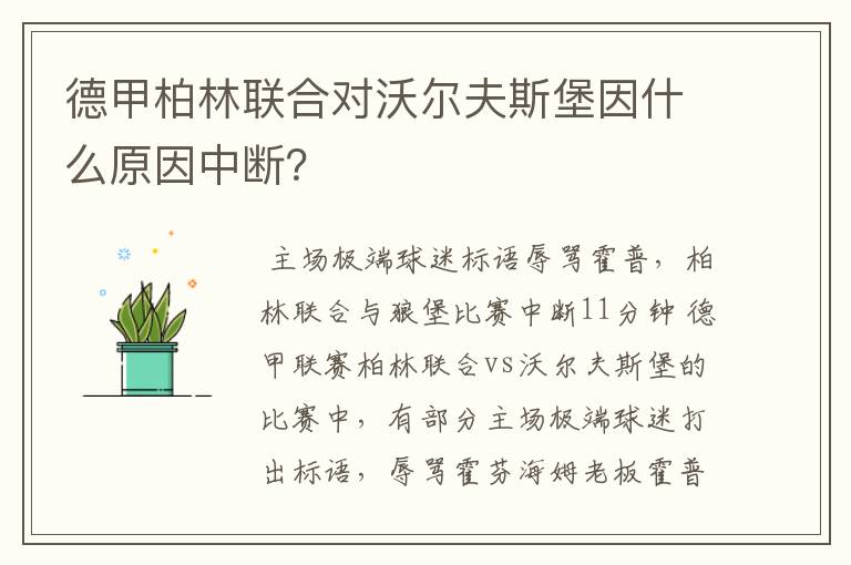 德甲柏林联合对沃尔夫斯堡因什么原因中断？