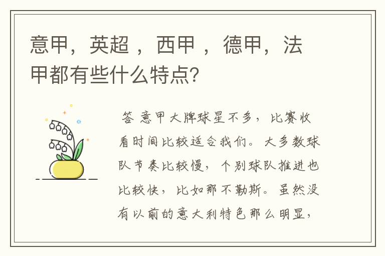 意甲，英超 ，西甲 ，德甲，法甲都有些什么特点？