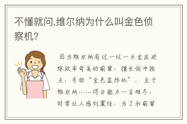 不懂就问,维尔纳为什么叫金色侦察机？