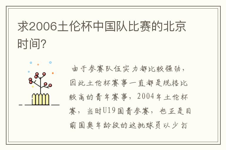 求2006土伦杯中国队比赛的北京时间？