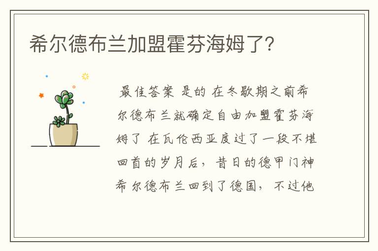 希尔德布兰加盟霍芬海姆了？