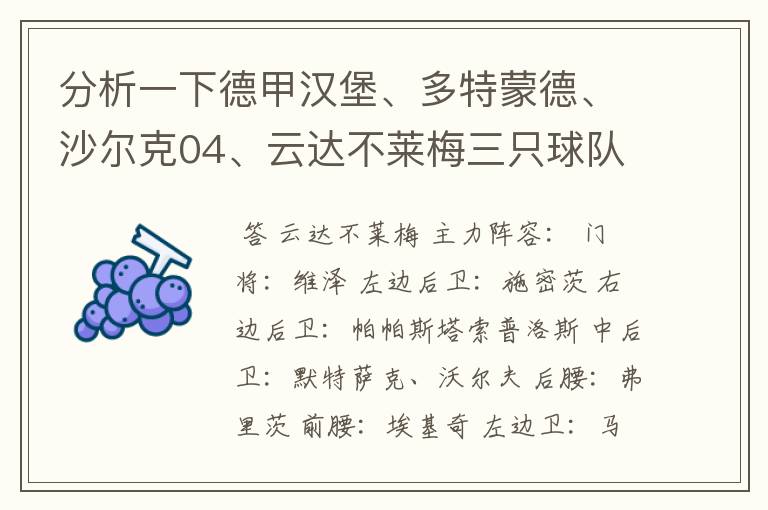 分析一下德甲汉堡、多特蒙德、沙尔克04、云达不莱梅三只球队的人员打法和阵型