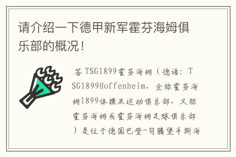 请介绍一下德甲新军霍芬海姆俱乐部的概况！