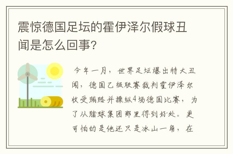 震惊德国足坛的霍伊泽尔假球丑闻是怎么回事?