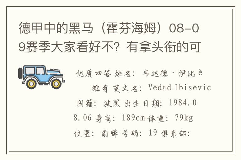 德甲中的黑马（霍芬海姆）08-09赛季大家看好不？有拿头衔的可能吗？