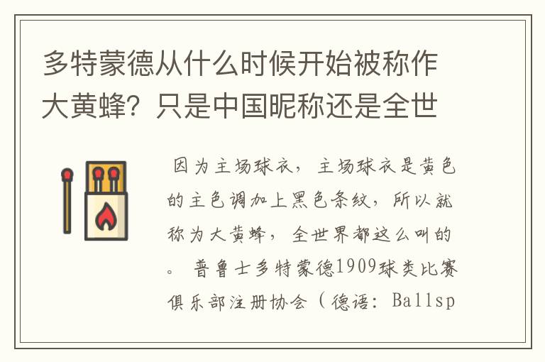 多特蒙德从什么时候开始被称作大黄蜂？只是中国昵称还是全世界范围都这么称呼