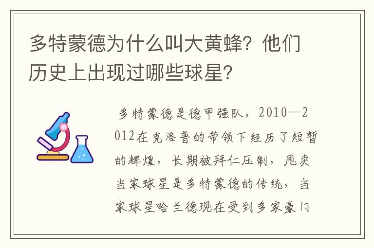 多特蒙德为什么叫大黄蜂？他们历史上出现过哪些球星？