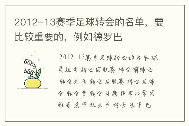 2012-13赛季足球转会的名单，要比较重要的，例如德罗巴