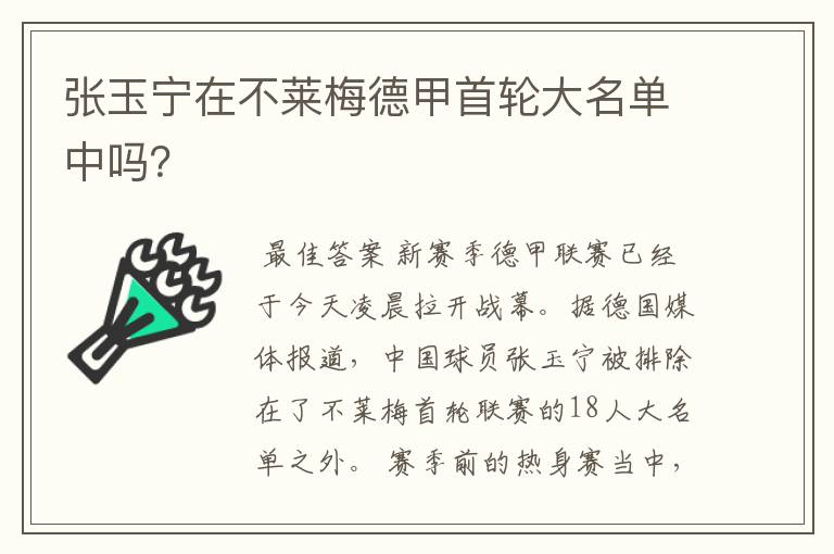 张玉宁在不莱梅德甲首轮大名单中吗？