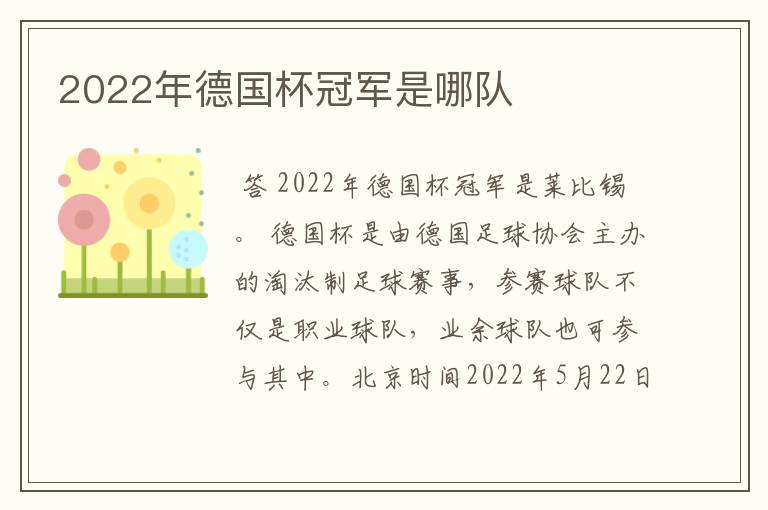 2022年德国杯冠军是哪队