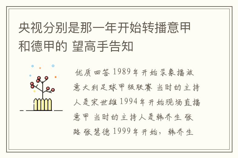 央视分别是那一年开始转播意甲和德甲的 望高手告知