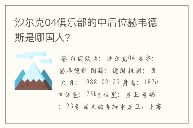 沙尔克04俱乐部的中后位赫韦德斯是哪国人?