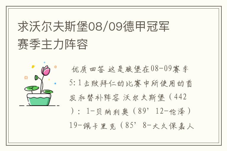 求沃尔夫斯堡08/09德甲冠军赛季主力阵容