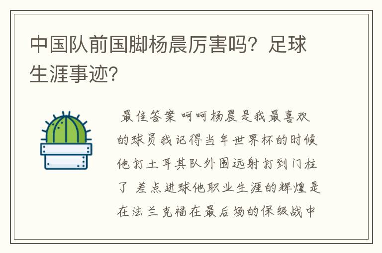 中国队前国脚杨晨厉害吗？足球生涯事迹？